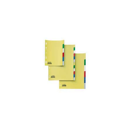 Divisori sei rota 12 tasti colorati 21x29,7 in ppl record sa412n