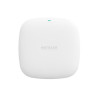 Access point netgear wax210, [wax210-100eus]