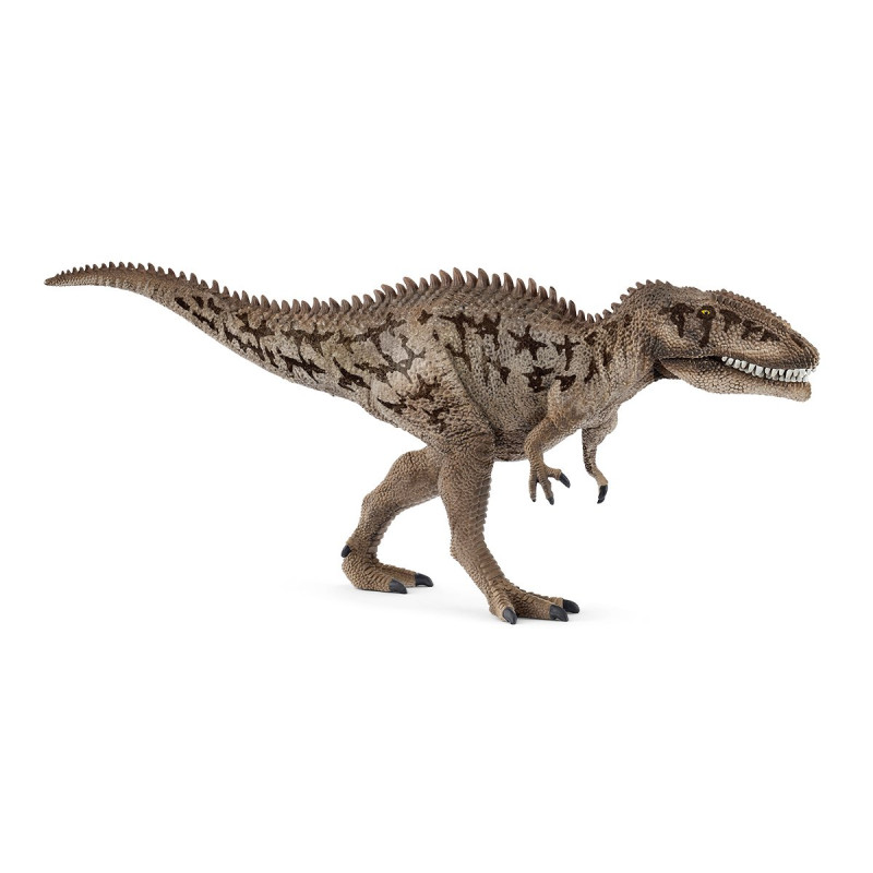 Dinosauro carcharodontosaurus [15048]