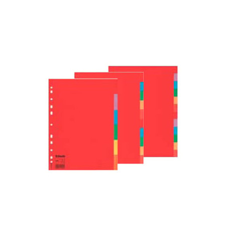 Divisori esselte 12 tasti economy a4 in cartoncino colorato 160gr