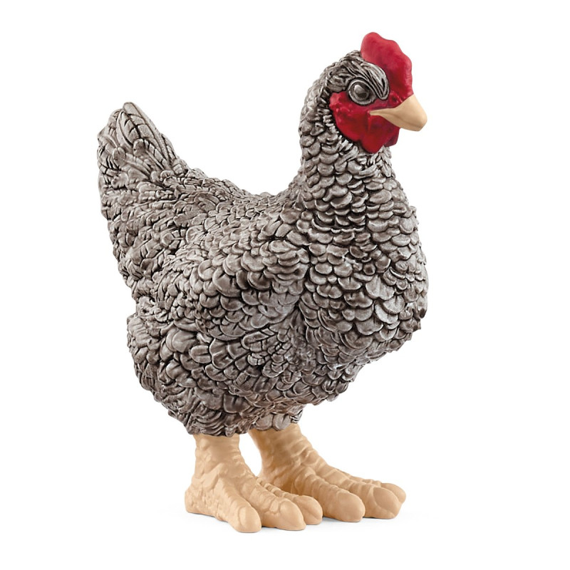 Farm world plymouth rock huhn [13997]