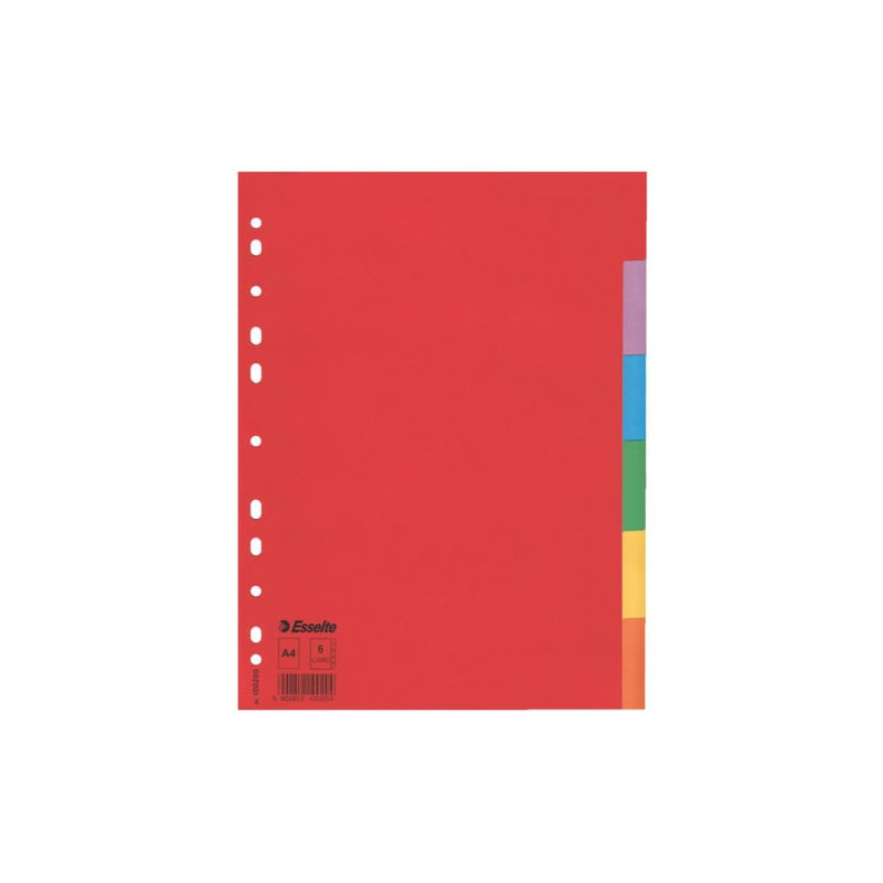 Divisori esselte 6 tasti economy a4 in cartoncino colorato 160gr