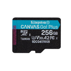 256gb scheda di memoria kingston canvas go! classe 10 nero [sdcg4/256gbsp]