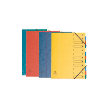 Classificatore monitore exacompta 1/12 24x32cm volori vivaci nature