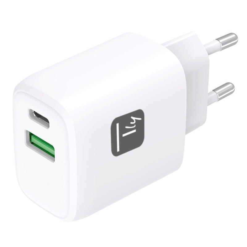 Alimentatore da rete techly ipw-usb-20wacg 20w bianco