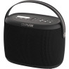 Altoparlante portatile pure woodland con bluetooth e radio fm/dab+