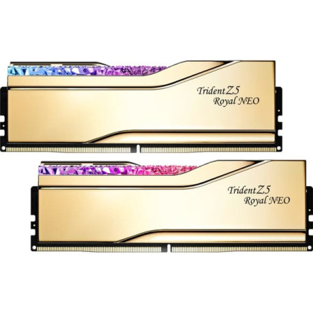 Ram dimm ddr5 48gb g.skill trident z5 royal neo dual-kit 2x 24gb