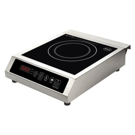 Piastra ad induzione r.g.v 111450 pro ind 1 nero/argento