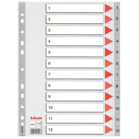 Divisori esselte numerico 1-12 in ppl grigio 22,5x29,7cm [100106]
