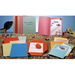 Cartellina in cartone con finestra blasetti 10 pz. arancio 115gr