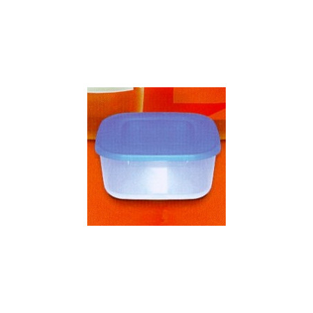 Contenitore giganplast sottovuoto l.10 39x30 h13 2385 [giganplast]