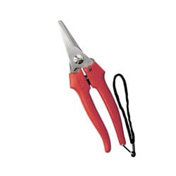 Forbici cogliuva 190 inox 31327 ausonia [ausonia ]