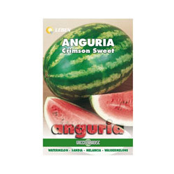 Sementi anguria crimson sweet leben (cf 20) [leben ]