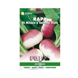 Sementi rapa milano colletto viola leben (cf 20) [leben ]