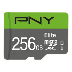 256gb scheda sdxc pny elite 100mb/s c10 u1 [p-sdu256v11100el-ge]