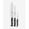 Set coltelli zwilling gourmet acciaio inossidabile 3pz argento/nero