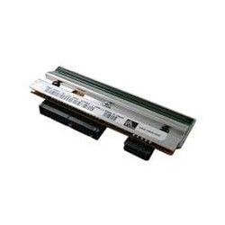 Testina di stampa zebra termica diretta 203x203dpi [p1105147-300]