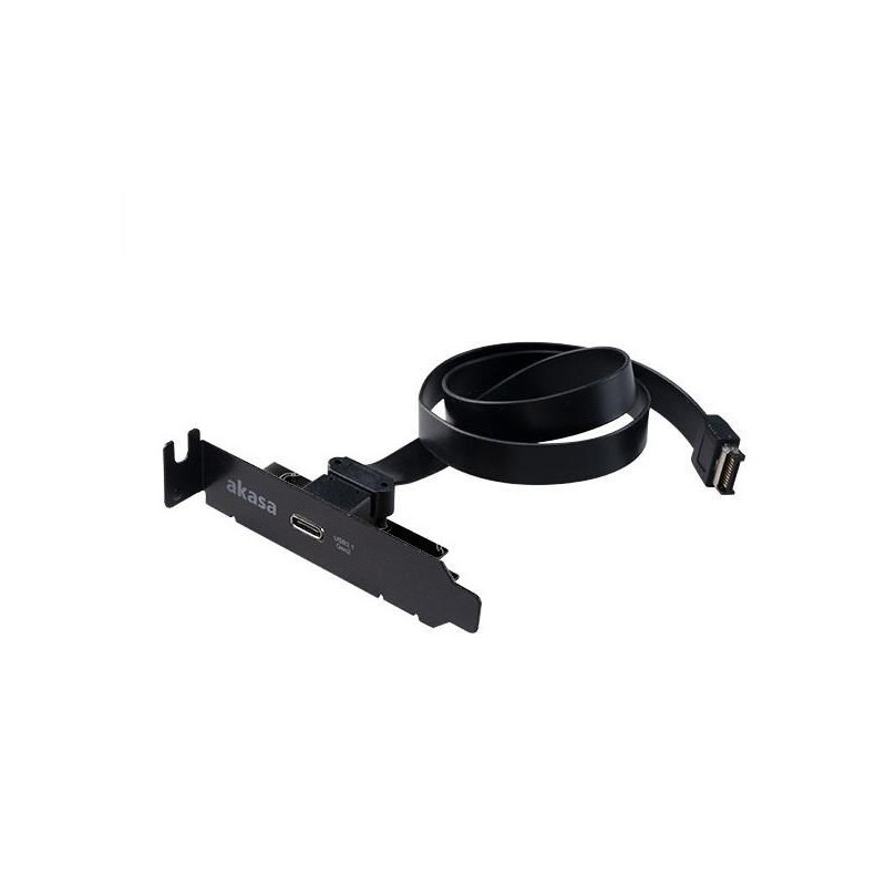 Adattatore sas akasa su staffa pci a basso profilo usb 3.1 tipo c