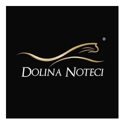 Cibo per gatti dolina notice cibo umido salmone rafi 300g