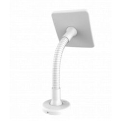 Custodia di sicurezza complocks per tablet 12" bianco [159w]