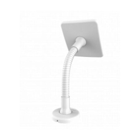 Custodia di sicurezza complocks per tablet 12" bianco [159w]