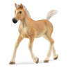 Figurina schleich hc haflinger puledro marrone/beige [13951]