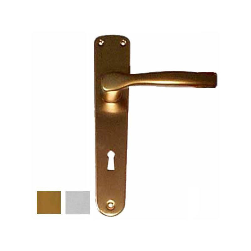 Maniglia ghidini gpb gabry q8 con placca in alluminio 8x70cm oro/argento