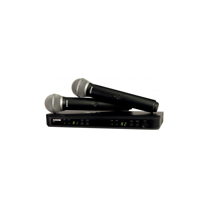 Doppio sistema per voce shure blx288e pg58 m17