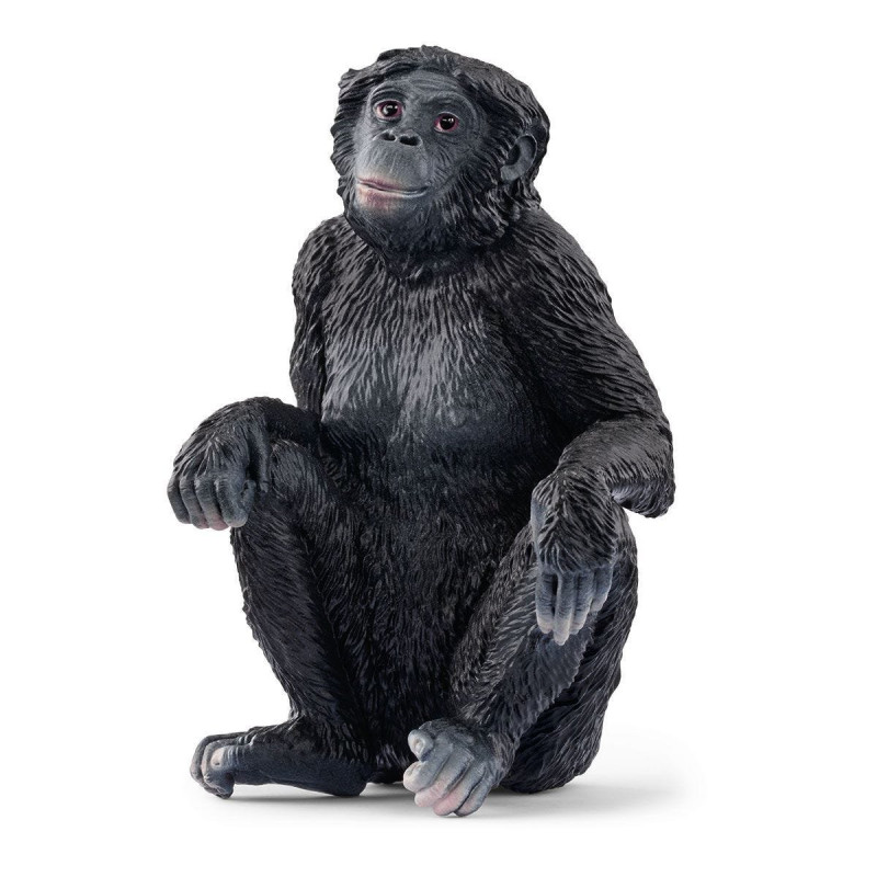 Figurina schleich wild life bonobo femmina nero [14875]