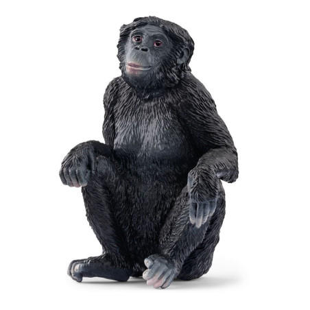 Figurina schleich wild life bonobo femmina nero [14875]