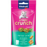 Dolcetti per gatti vitakraft crispy crunch dental 60g
