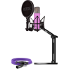 Microfono a treppiede rode nt1 signature con braccio da desktop studio+cavo