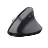 Mouse trust bayo+ office right-hand rf wireless + bluetooth optical
