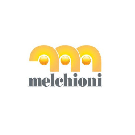 Friggitrice melchioni massara 10l 1500w