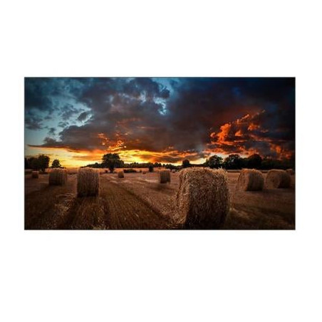 Monitor 46'' samsung vm46b-u full hd 1920x1080p classe