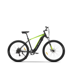 Bicicletta elettrica argento e-bike performance 250w/25km max.110kg