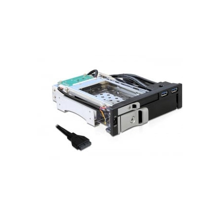 Adattatore hard disk delock 5,25 per 2,5/3,5 sas/sata hdd + 2xusb