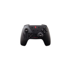 controller acer ngr300 wireless [gp.oth11.06f]