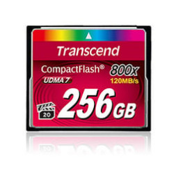 compact flash 256gb transcend 800x [ts256gcf800]