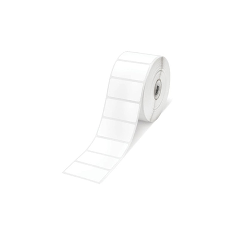 rotolo etichette epson pe matte label c33s045552 203mm x 305mm, 500