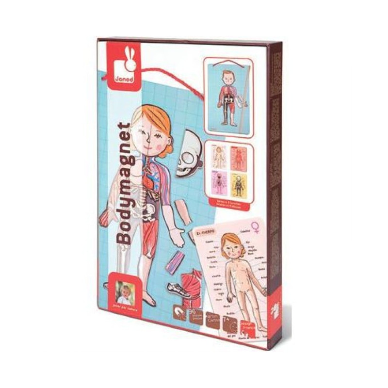 janod j05491 puzzle magnetico corpo umano