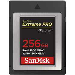 256gb scheda cf express sandisk type 2 extreme pro [sdcfe-256g-gn4nn]