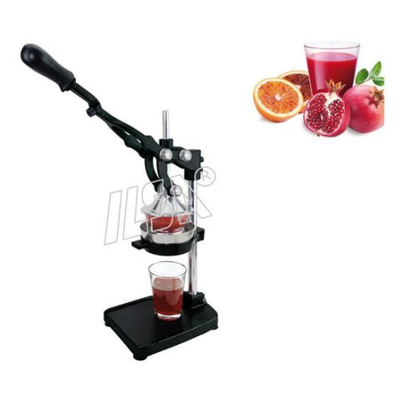 spremiagrumi ilsa 18/10 24x17xh46 acciaio inossidabile - 1053000