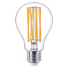 lampadina led philips 17w