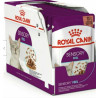 mangime umido per gatto royal canin sugo sensoriale gusto carne/proteine