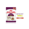 mangime umido per gatto royal canin sugo all'olfatto sensoriale