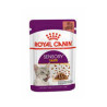 mangime umido per gatto royal canin sugo di gusto sensoriale pollame/maiale