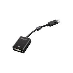 adattatore da display-port/dvi encore 0.15m nero