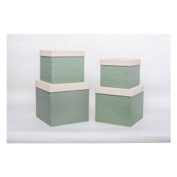 set di scatola amicasa assortito 4pz verde
