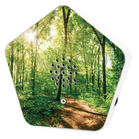 scatola dei suoni olympia olymp sound of nature box 4 suoni naturali